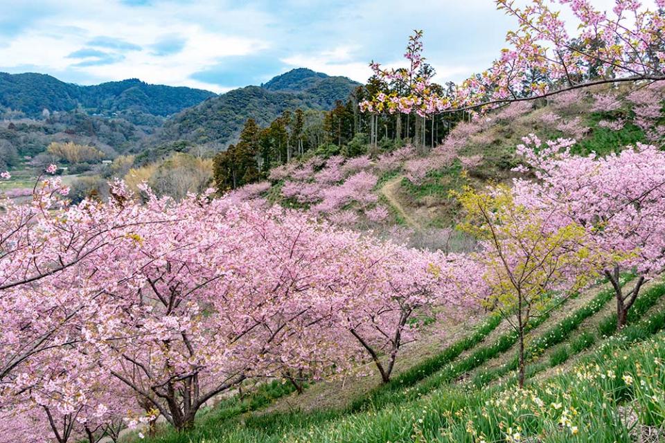 佐久間水壩湖（Image Source : Getty Creative/iStockphoto)