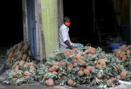 An Indian trader wearing a face mask waits for buyers next to a pile of pineapples at a wholesale fruit market in Bengaluru, India, Saturday, May 30, 2020. India started easing lockdown restrictions earlier this month, allowing reopening of shops and manufacturing and resumption of some trains and domestic flights and vehicles' movement. The federal government is expected to issue a new set of guidelines this weekend, possibly extending the lockdown in worst-hit areas. (AP Photo/Aijaz Rahi)