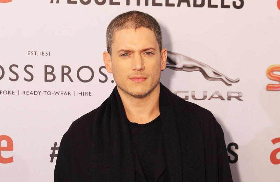 Wentworth Miller will only play gay roles credit:Bang Showbiz