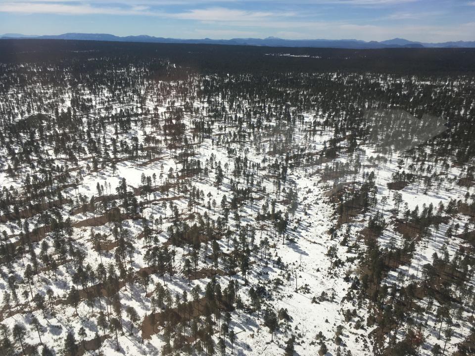 This aerial image of the Forest Lakes area was taken during a snow survey on Feb. 23, 2021, by a team from Salt River Project. The snowpack in the watershed, which supplies water to Arizona cities, was below average this winter.