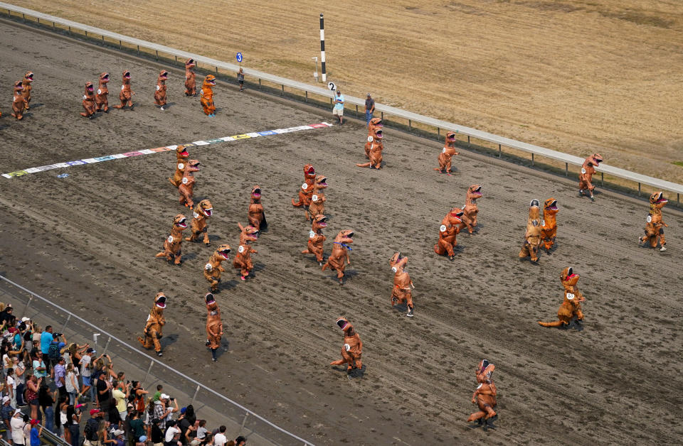 Racers in T-Rex costumes participate in the first set of heats during the "T-Rex World Championship Races" at Emerald Downs, Sunday, Aug. 20, 2023, in Auburn, Wash. (AP Photo/Lindsey Wasson)