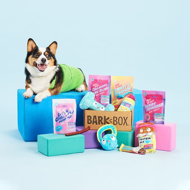 <p><strong>Barkbox</strong></p><p>amazon.com</p><p><strong>$39.00</strong></p><p>Even though this is technically spoiling your dog, watching your pet dig into their BarkBox is the best part of this subscription. Each month, you and your pup will get to play with two themed toys, and you'll also receive two treat bags and a chew.</p><p><em><strong>What reviewers say:</strong></em><em> I absolutely loved our Bark Box, and so did our pup! In our box, we received some really good coupons for the next box and more treats, two full-sized toys, two full-sized bags of treats, and a large chew stick, which she devoured within minutes. I really like that Bark Box makes it possible to choose a box for your dog’s size. This isn’t one of those “one-size fits all” services, which is great!</em></p>