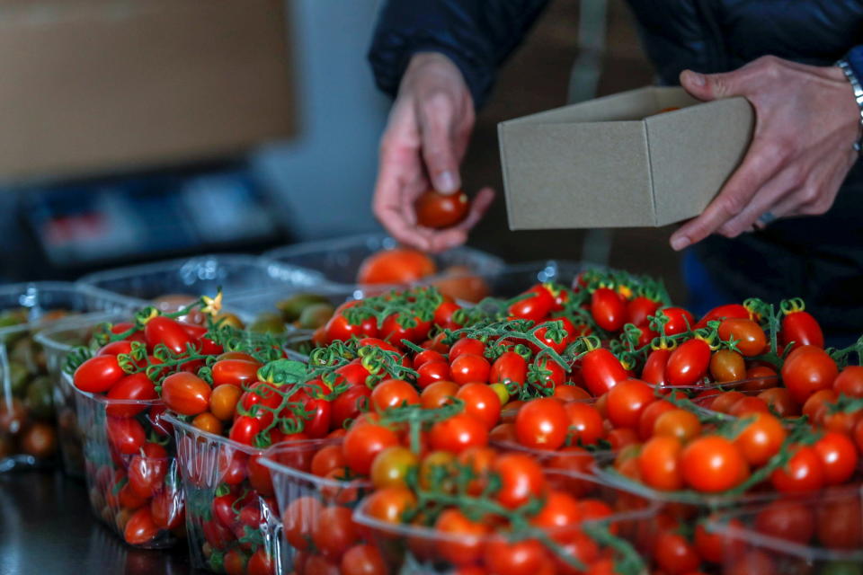 Un palestinien emballe des tomates que des hommes d'affaires palestiniens vendent en ligne et livrent aux clients, à Ramallah, en Cisjordanie occupée par Israël, le 4 mars 2021. Photo prise le 4 mars 2021. REUTERS/Mohamad Torokman