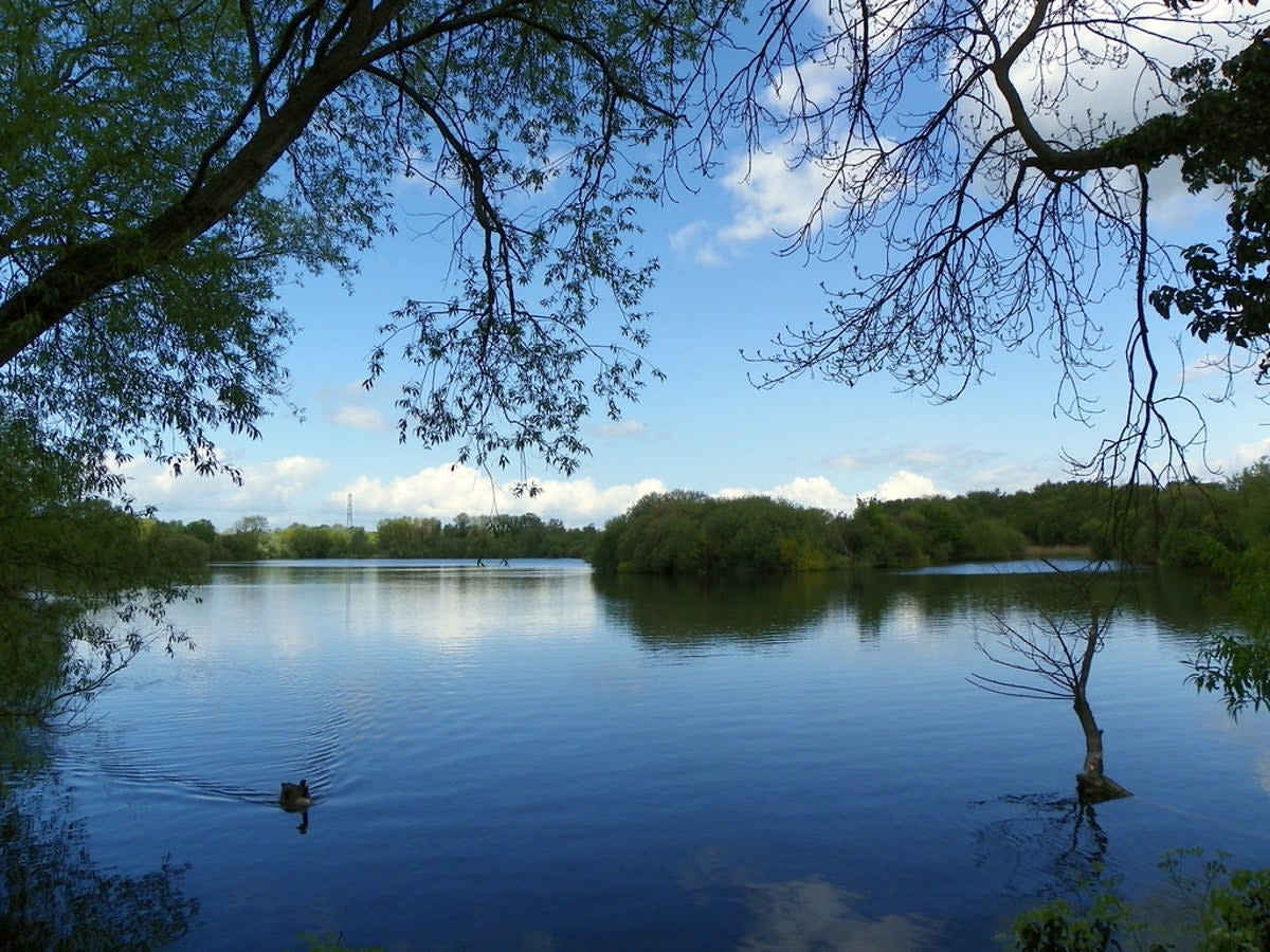 Llamaron a la policía cuando el menor no regresó a la superficie cuando nadaba en el lago (Creative Commons)