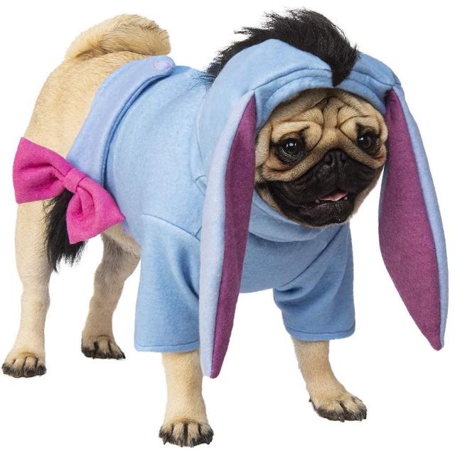 33 Most Adorable Dog Outfits You Can Buy Now — Best Life