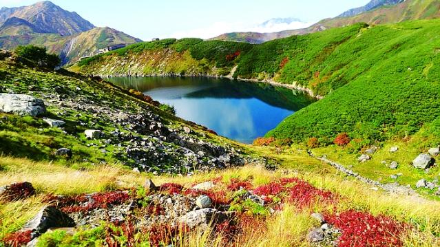 賞楓速報 立山黑部紅葉季來臨