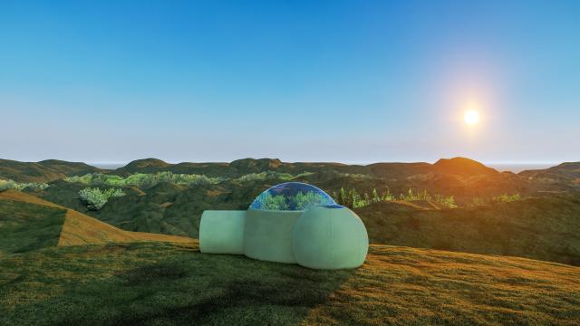 See 25 Crazy Airbnb Designs That Just Won $100,000