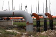 FILE PHOTO: Gas pipelines are seen in a gas distribution center near the Serbian border in Kiskundorozsma