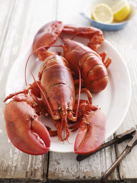 Lobster Dinner