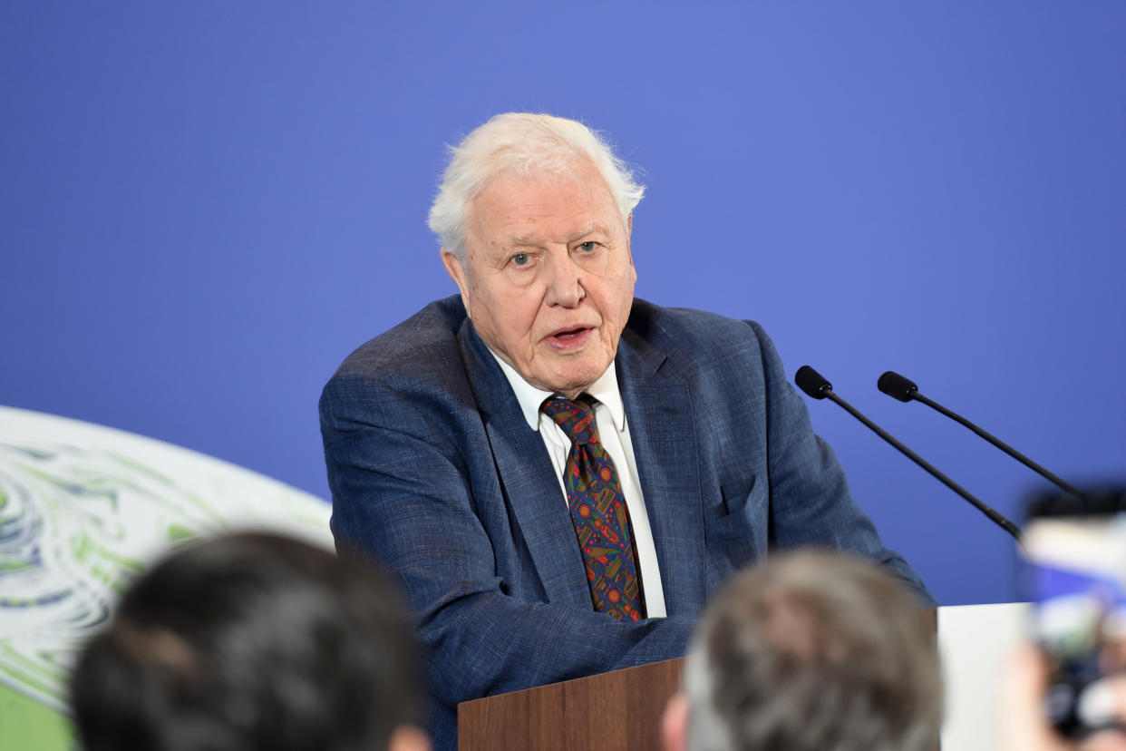 David Attenborough, photographed in 2020 at the Science Museum in London, has previously said 