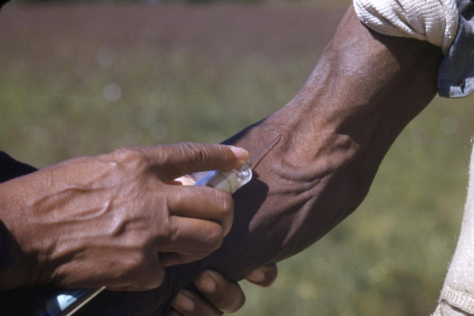 In this 1950's photo made available by the National Archives, a man included in a syphilis study has blood drawn in Alabama. For 40 years starting in 1932, medical workers in the segregated South withheld treatment for Black men who were unaware they had syphilis, so doctors could track the ravages of the illness and dissect their bodies afterward. (National Archives via AP)