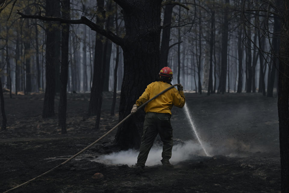 A firefighter, aiming water from a hose, works on putting out a smoky hot spot from a wildfire.