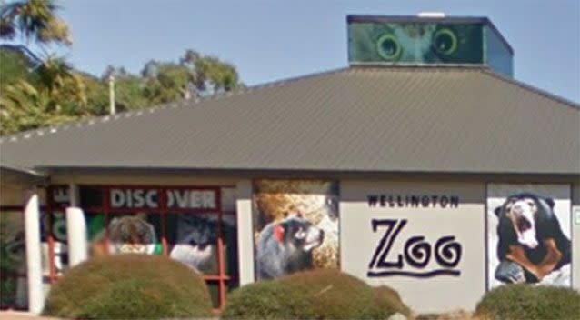 Some of the 12 monkeys inside the Wellington Zoo enclosure were injured as a result of the attempted abduction. Source: Google Maps