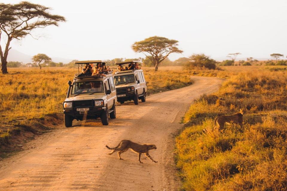 Tour the African savannah of the Serengeti National Park (Getty Images)