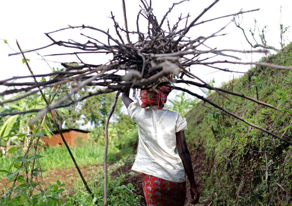 Nyiranzabanita Emeliane, 42, carries wooden sticks used for cooking on November 14, 2017 in Shyorongi, Rwanda. She says she sometimes spends hours per day, at times in faraway corners of the woods, to find what she needs, usually using it to cook sweet potatoes and cassava. (Photograph by Yana Paskova)  