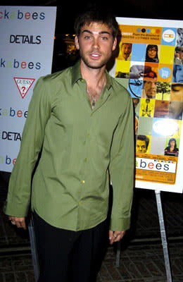 Drew Fuller at the Hollywood premiere of Fox Searchlight's I Heart Huckabees