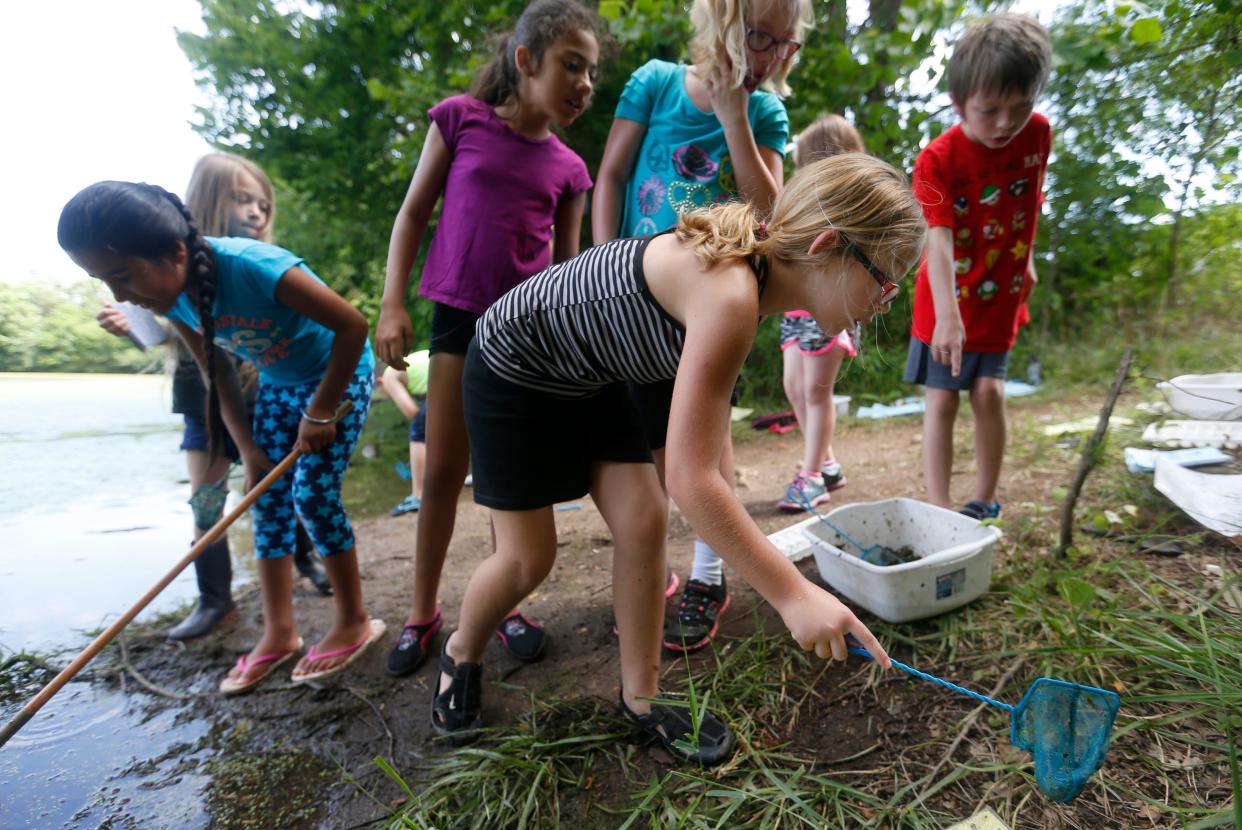 In this file photo, Charlee Crawford, a student at Cowden Elementary, searches for critters with a net at the Watershed Center at Valley Water Mill Park during the Springfield district's summer program, Explore.
