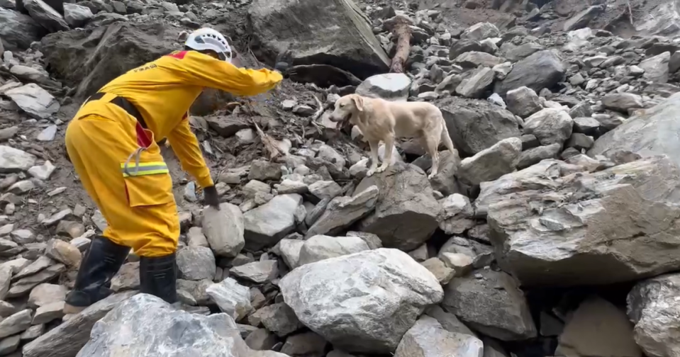 搜救犬在砂卡礑步道尋獲一名罹難者。翻攝花蓮縣消防局臉書