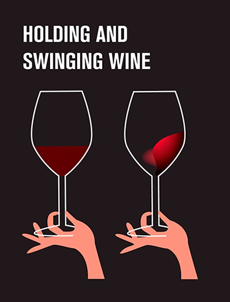 swilling beginner's guide to wine