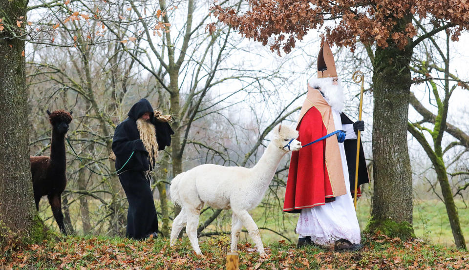 Two people dressed as St. Nicholas and Knecht Ruprecht are on their way to a party with two alpacas in Binzwangen, Germany, on Dec. 2.