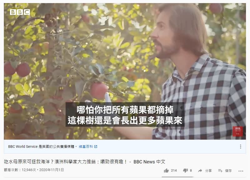 格什溫解釋，捕撈水母就像摘蘋果，因此認為水母屬於可再生物種。（圖／翻攝自BBC YouTube頻道）