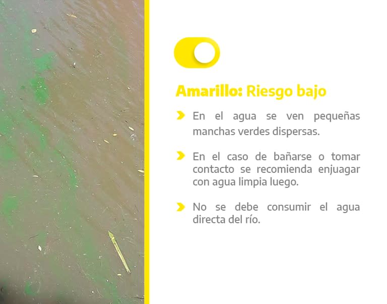 El ciano semáforo alerta sobre la situación en la costa del Río de La Plata.