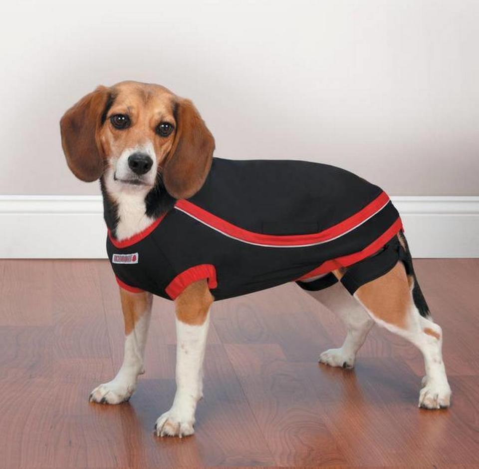 The Kong Anxiety Reducing Shirt keeps gentle, soothing pressure on dogs frightened by thunder or fireworks.