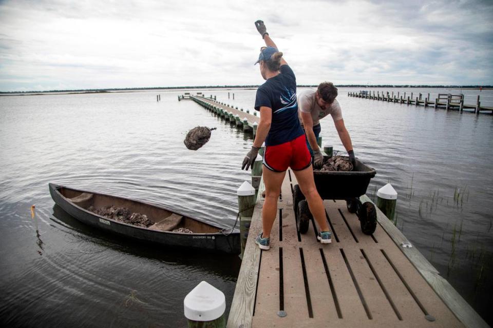 Morgan Rudd of Living Shorelines, left, and Grainger Coughtrey of Restoration Systems toss mesh bags filled with oyster shells into a canoe Thursday, Sept. 9, 2021. The bags were placed along a shoreline in Bogue, NC in an effort to restore salt marsh Salt marshes in North Carolina are being pushed back by rising sea waters, but aren’t always able to retreat due to coastal development, leaving them to shrink.