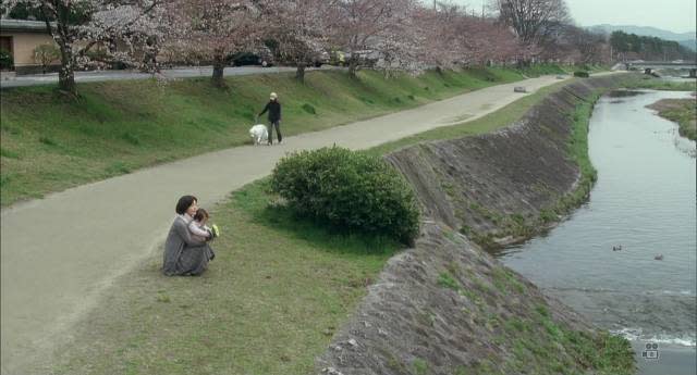 日本經典電影 京 都 的 日 常 ：河  川、 櫻 花。