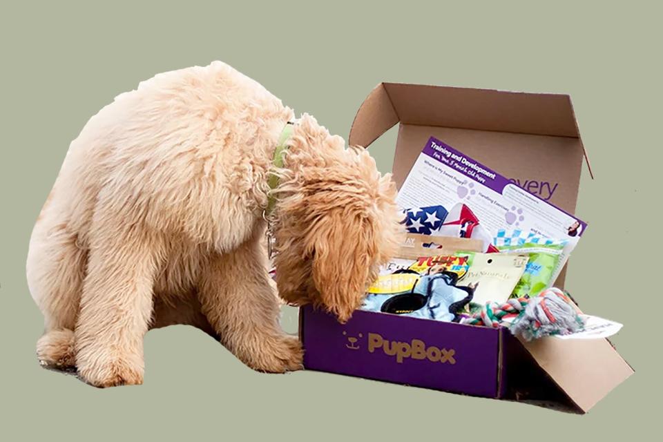 pet subscription boxes