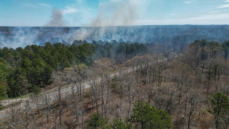 Cops from Suffolk County, the New York State Police, the NYPD and other agencies were spotted in the woods near Manorville, New York, this past week. Dennis A. Clark