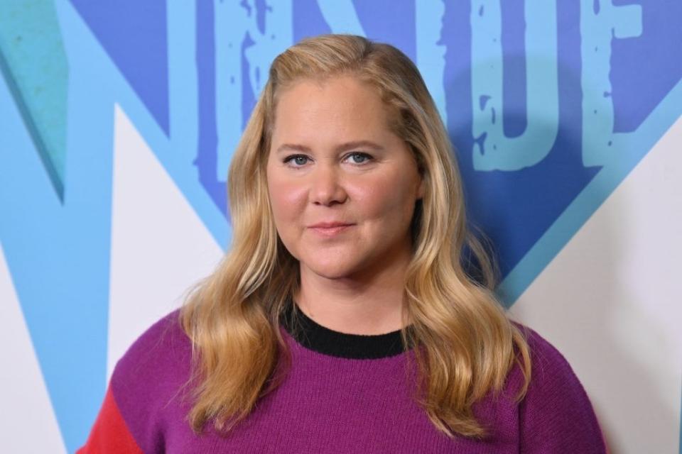 Closeup of Amy Schumer