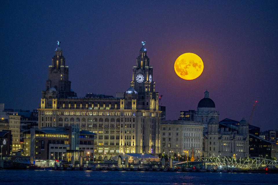 The Sturgeon supermoon, the final supermoon of the year, rises over the Royal Liver Building in Liverpool.  / Credit: Peter Byrne/PA Images via Getty Images