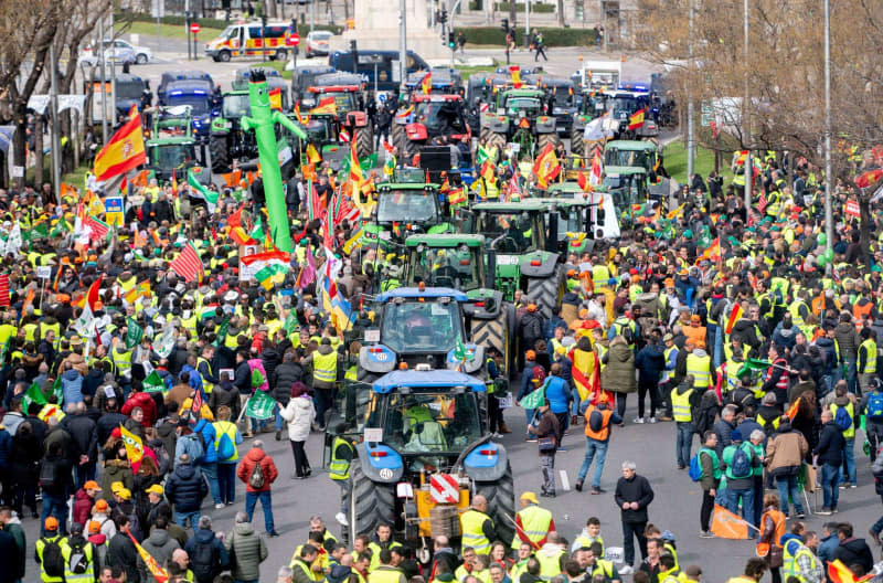 Demonstrating farmers walk along the the Paseo de la Castellana during a protest against the European agricultural policies and their working conditions. Alberto Ortega/EUROPA PRESS/dpa