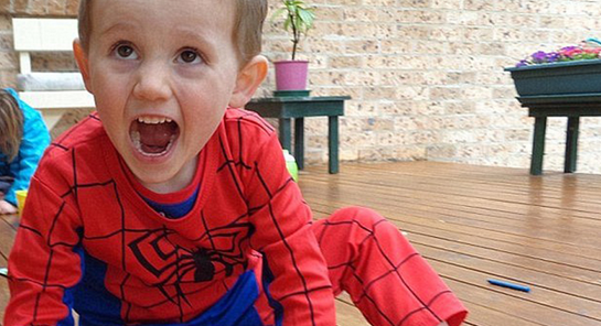 The outfit William Tyrrell was wearing when he disappeared.