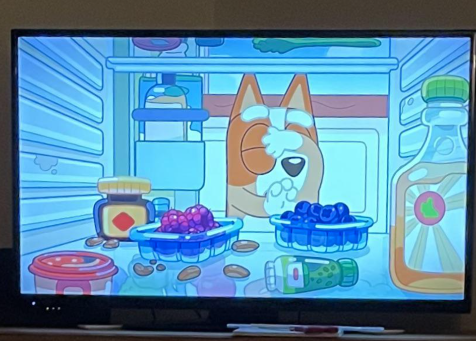 A shot from the Australian cartoon Bluey, seemingly depicted Vegemite in the fridge. Source: Reddit/RotaryGoose via ABC