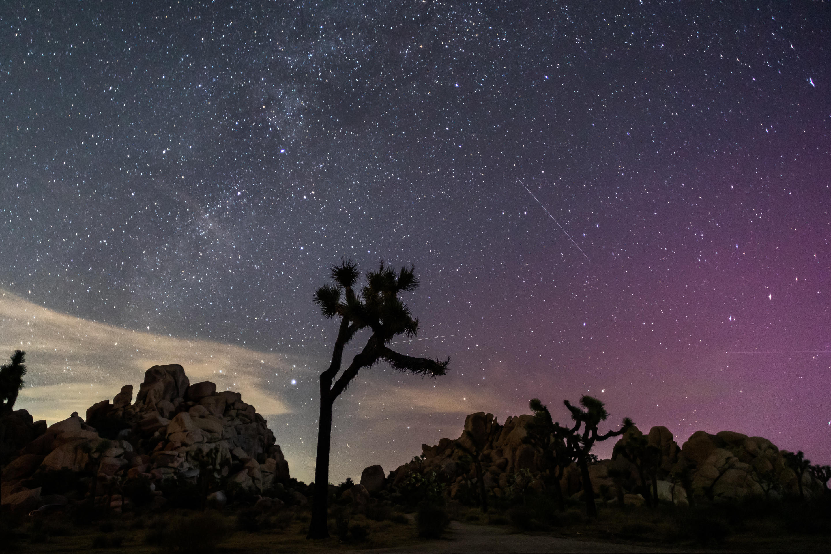 Zorza polarna rozświetla niebo nad Parkiem Narodowym Joshua Tree w Kalifornii podczas deszczu meteorytów Perseidów. 