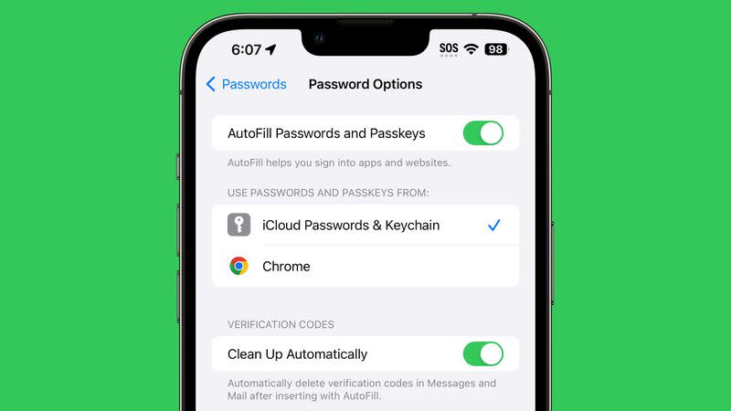 A screenshot showing the new Clean Up Automatically feature in the iOS 17 beta's Password options menu
