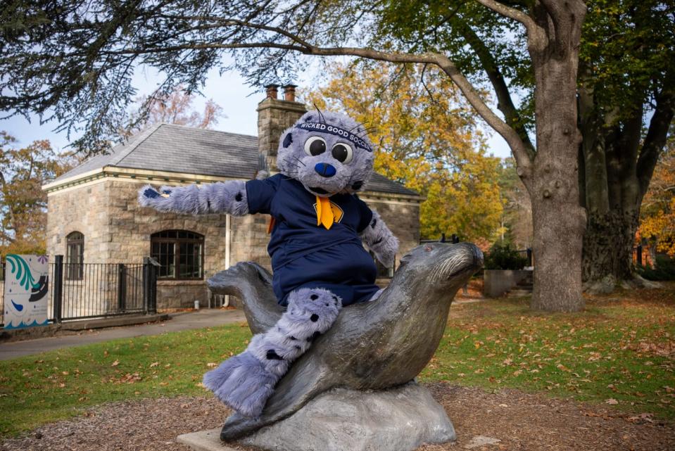 Rhode Island Football Club mascot Chip the seal at Rogers Williams Park Zoo. Tidewater Landing stadium, when complete, will be RIFC's home.