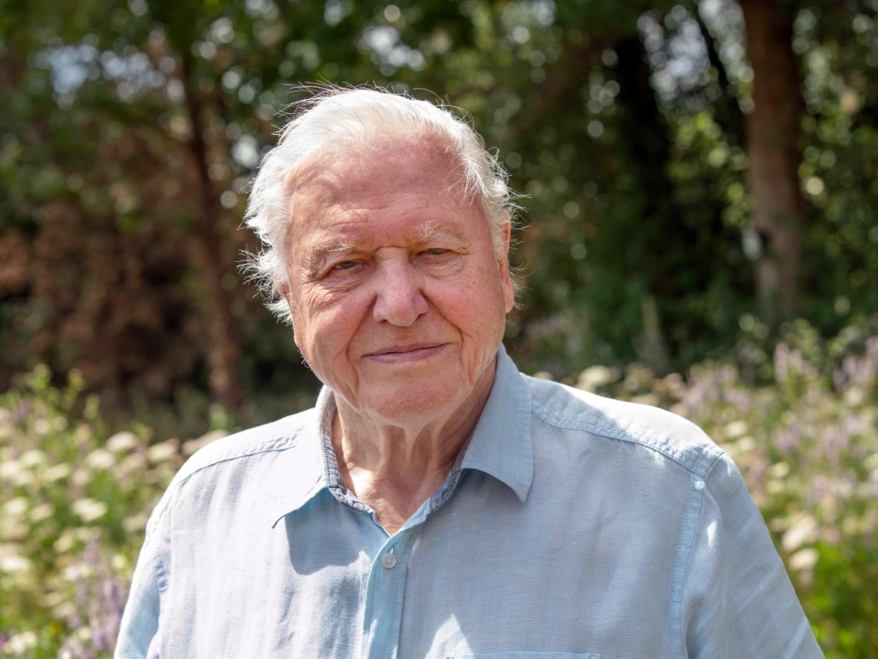 <p>Sir David Attenborough said the climate crisis presents the ‘biggest threat to security that modern humans have ever faced’</p> (Nick Shoolingin-Jordan/Silverback Films 2020)