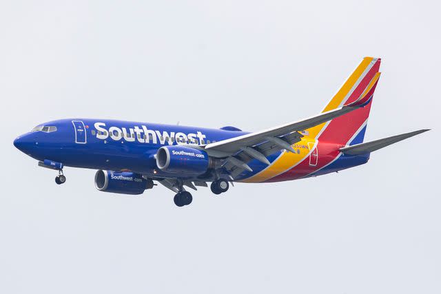 <p>Nicolas Economou/NurPhoto via Getty</p> A stock image of a Southwest plane.