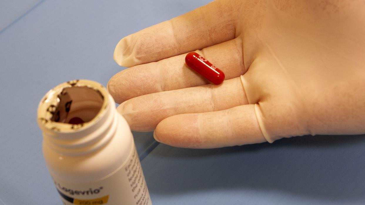  Gloved hand holding the antiviral molnupiravir, a red pill, next to a bottle of the drug. 