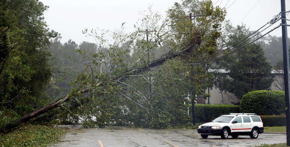 A motorist navigates away from a fallen tree blocking a road after the arrival of Hurricane Florence in Wilmington, North Carolina on Friday.