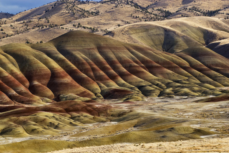 <p>These&nbsp;rock formations -- with fossils galore --&nbsp;span&nbsp;<a href="http://www.nps.gov/joda/index.htm">more than 40 million years of natural history</a>.&nbsp;</p>