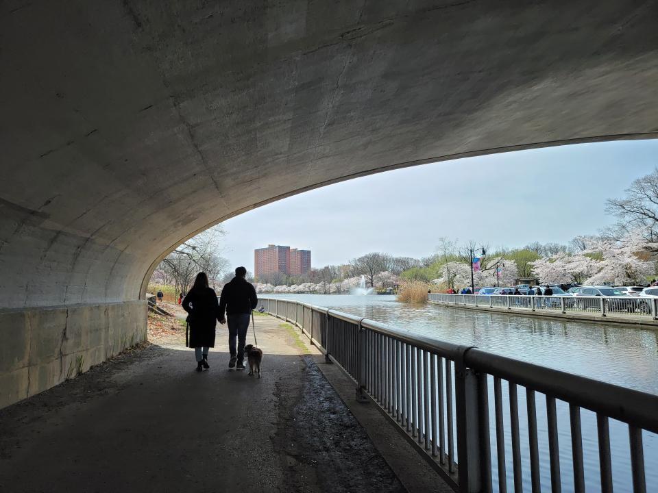 A couple holds hands and walks an Australian Shepherd puppy on a pedestrian path under an overpass next to the lake.