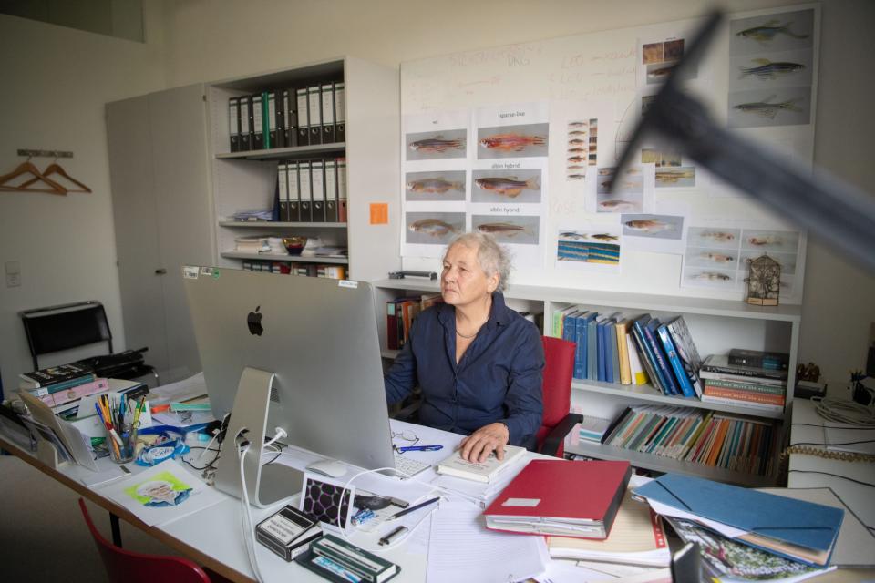 Christiane Nüsslein-Volhard: Die erste und einzige deutsche Frau, die einen Medizin-Nobelpreis bekommen hat. - Copyright: picture alliance/dpa | Marijan Murat