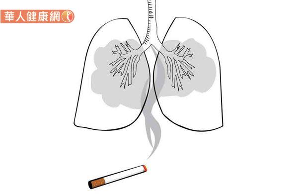 香菸中的焦油成分，更是容易沾附於肺部如海綿般質地的肺泡上；進而破壞其彈性，導致呼吸道阻塞、肺容積下降，使心肺功能大幅降低。