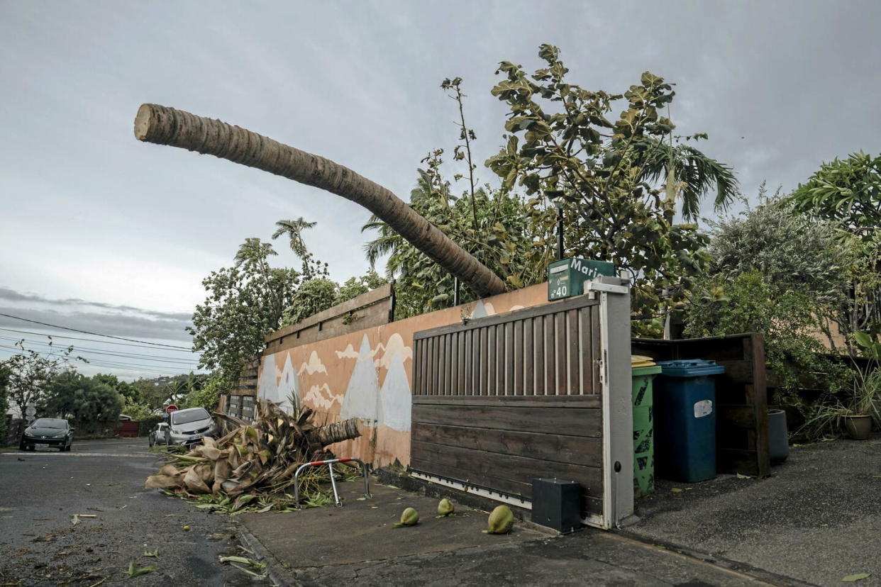 La Plaine Saint-Paul, à la Réunion, après le passage du cyclone Belal, le 15 janvier 2024.   - Credit:Lewis Joly/AP/SIPA / SIPA / Lewis Joly/AP/SIPA