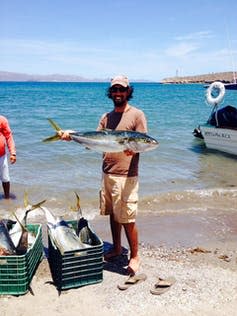 A man holding a large blue and silver fish on a beach.