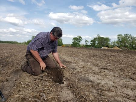 Soybean farmer Dave Walton kneels in a field in Wilton, Iowa, U.S. May 22, 2019. REUTERS/Kia Johnson